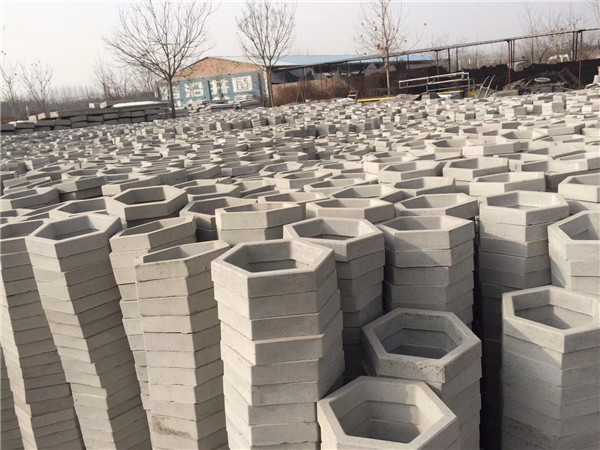 我們選擇彤宇，值了